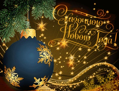 Праздничными огнями зажглась главная Елка района