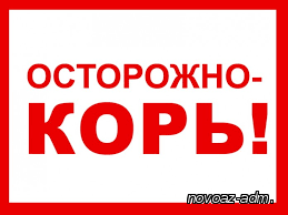 Эпидемическая ситуация по заболеваемости корью в Новоазовском районе