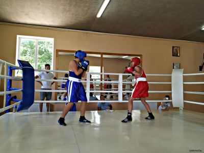 Турнир по боксу